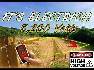 Installing Electric Fence for Deer | Protecting Sunflowers with 5,200 VOLTS | Dove Farming 2023