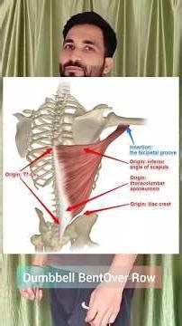 Dumbbell Bent Over Row for Back Muscle (Latissimus Dorsi) | Correct Posture & Breathing| Wide Back