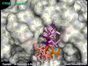 The molecular recognition valse