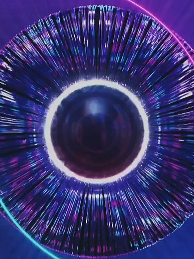 Conflict and Emotions in Gran Hermano's Reality Show