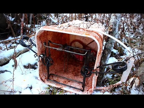 The BUCKET SET for Raccoon & Skunk - With 160 Conibear