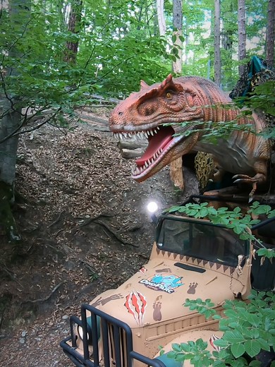 18K views · 1.3K reactions | Astăzi mergem la #DinoParc! ✅️ Visit Brasov Romania  ✅️ Dino Parc Râșnov  ✅️ #Râșnov #Brasov #Transilvania #Romania ✅️ https://youtube.com/c/VisitBrasovRomania | Visit Brasov Romania | Facebook