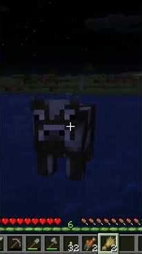 Synchronised Swimming (With a Cow)
