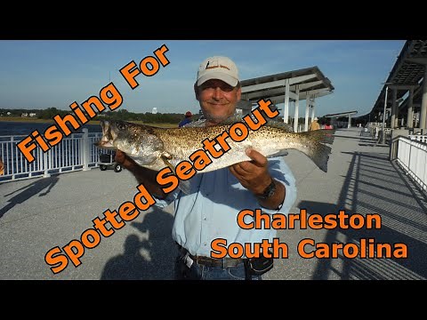 Fishing for Spotted Seatrout in Charleston, SC with Jiggin' Jerry