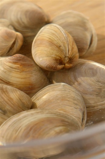 Garlic butter clams on the barbecue