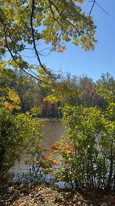 Here’s your peace and quiet for your Sunday morning! Enjoy this 15 second break from Facebook | Meteorologist Tim Buckley