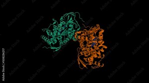 Crystal structure of human CYP7A1 dimer. Animated 3D cartoon and Gaussian surface models, PDB 3dax, black background.