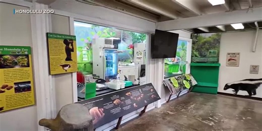 Honolulu Zoo unveils upgrades to snail, guinea pig exhibits at Keiki Zoo Barn