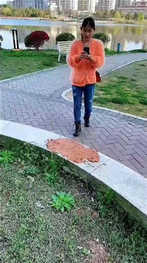 Xu Hướng Mới Alibaba! Đồ Gia Dụng Thông Minh, Đẹp – Bền – Rẻ Cho Nhà Việt 🤯Yp-4185