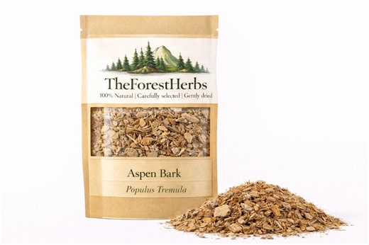 Aspen Bark – Populus Tremula / Organic/ Dried Herbs - Etsy Australia