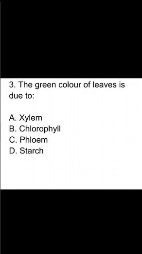Multiple choice questions part 2 ncert class 7 science Curiosity chapter 10