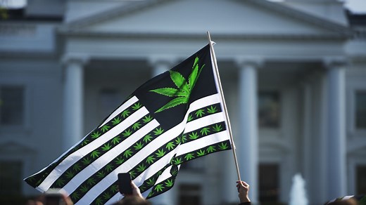 The future of marijuana legalization in the United States