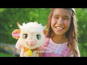 Pop UK - Continuity (and adverts) (27/08/2025)