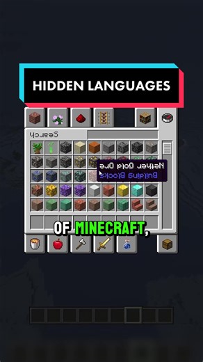 Exploring Hidden Languages in Minecraft