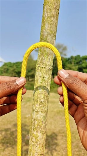 Smart Rope Knot for Tree Tying. #ropeknot #knottying #knottrick