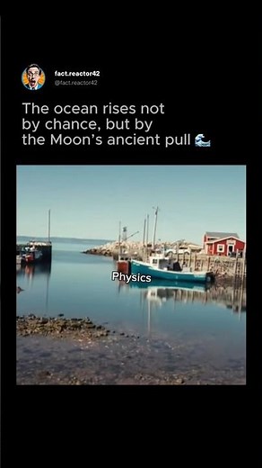 Earth’s oceans breathe with lunar rhythm 💫🌍