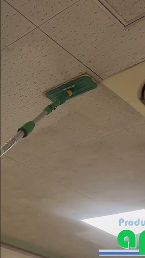 天井ボードカビ除去作業