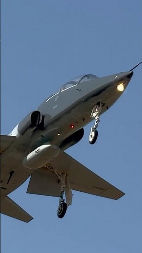 T-38 Talon Trainer Landing - #military