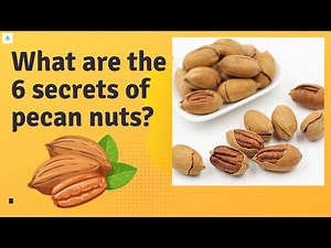 🔸What are the 6 secrets of pecan nuts? || How They Are Good For You || Benefits of Pecan Nuts