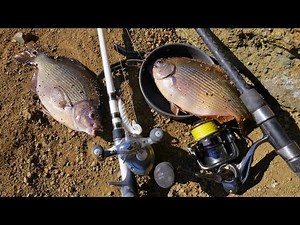 Catch and Cook on this Life Threatening Cliff