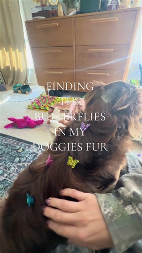 Exploring ASMR with Fun Bug Triggers