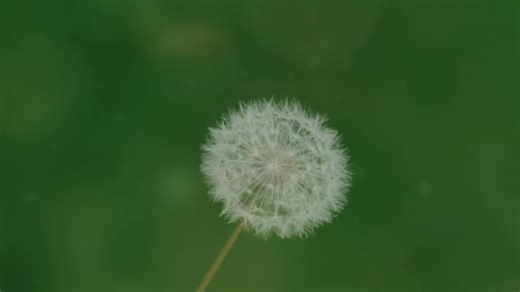 HighDefProductionzz (@highdefproductions)’s videos with Time Machine - Muni Long