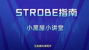 STROBE指南系列
