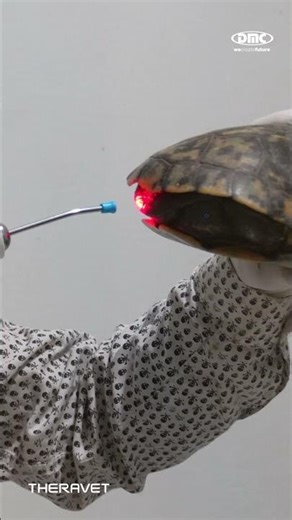 Ciência e Luz: Conheça o TheraVet