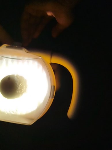 Exploring the World of Dentistry for Students