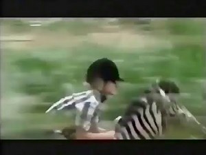 Racing Stripes (2004) - TV Spot 9