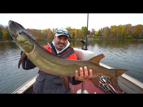 Perfect October Musky Weather!! - 4 Muskie Day!!