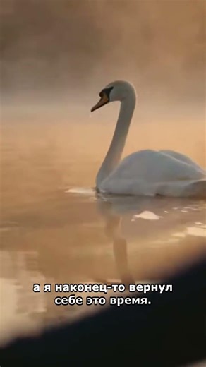 Утро предпринимателя без SMM-рутины 🚣♂️