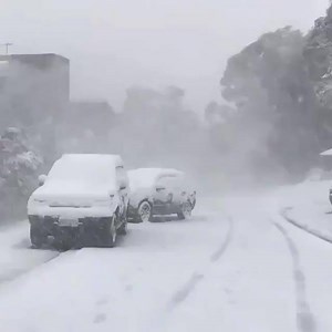 It's snowing in Victoria — in November! 😮❄️ 📹: Falls Creek/@karlnowakowski | ABC News