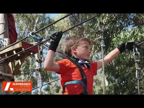 Unleash Adventure at Acrobranch | Perfect for Birthdays, Team Buildings, School Outings & More!