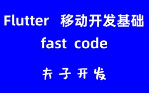Flutter 移动开发基础 视频教程