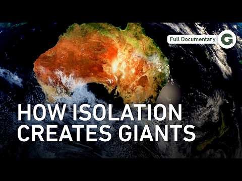 Through Isolation: New Zealand's Rarest Animals and the Forces That Created Them | Full Documentary