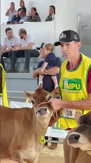 Genética, resultado e conexão: Semex Brasil na Itaipu Rural Show