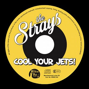 The Stray Cats's 2007 Concert & Tour History | Concert Archives