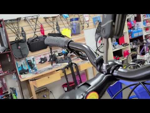 Costco Bike Infinity Boss Three Disc