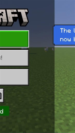 perspectives setting in Minecraft #shorts#vidio#minecraft#spicygamer