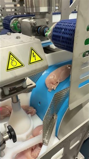 No more manual singulation | automate your poultry line with the Single Feeder