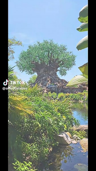 Experience Florida's Magical Disney World Adventure