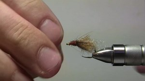 The Classified Caddis Pupa