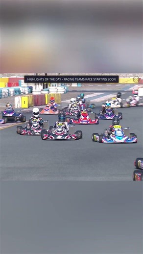 GO-KARTS RACE: HELL YEAH! HIGHLIGHTS OF THE DAY! #shorts