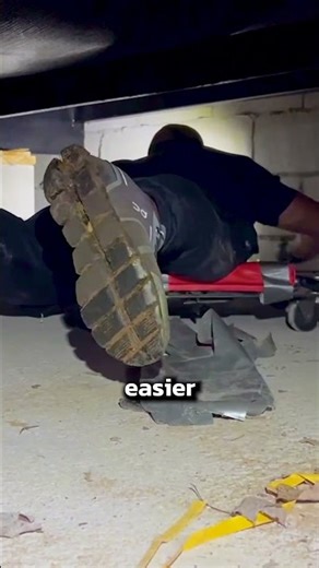 How to Get Rid of Mice in Your House #pest