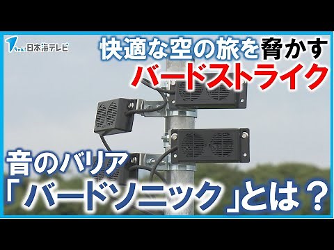 【「バードソニック」とは？】快適な空の旅を脅かす「バードストライク」を防ぐ 関西国際空港や神戸空港などにも設置されたこの機器の威力とは？ 鳥取県・鳥取空港