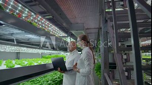 A team of scientists explores vegetables grown in vertical farms using computers and tablets. Vegetable farm of the future, fresh and clean products without GMO