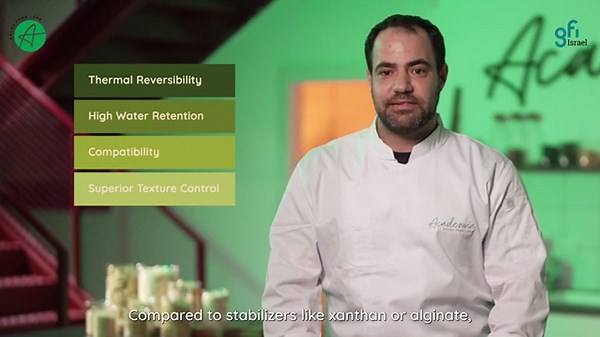 Methylcellulose in protein–Key functionalities and properties that are essential in food production