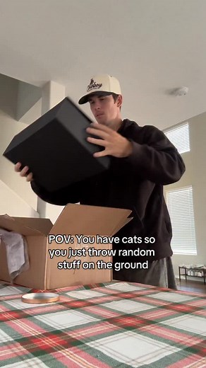 New box=new toy #cats | Elliethetabby