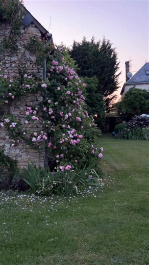 If you’re new here, bonjour ! Welcome to My French Country Home where I get to share my garden, flowers , French antiques and much more 🌸🌸 | My French Country Home